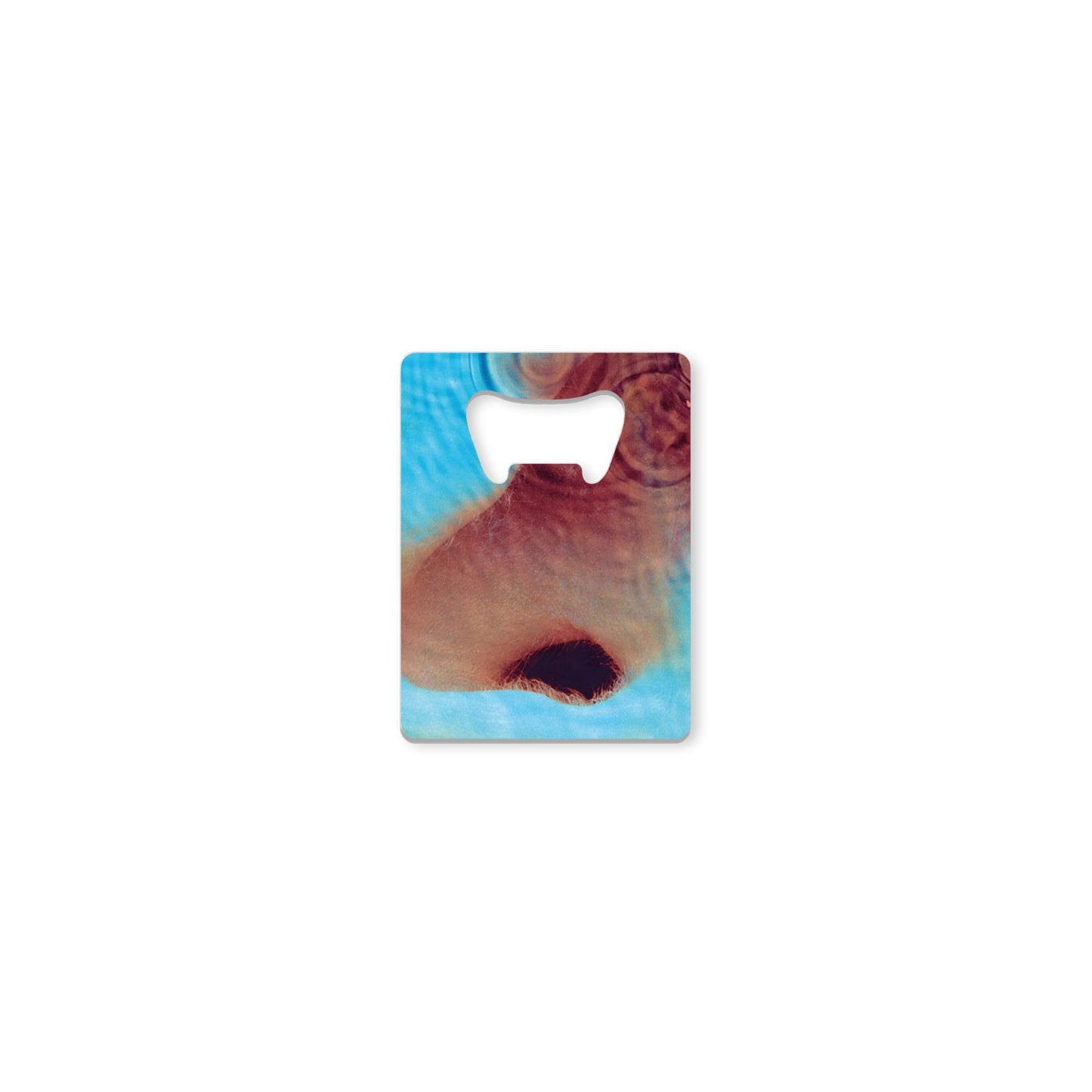 Meddle Bottle Opener