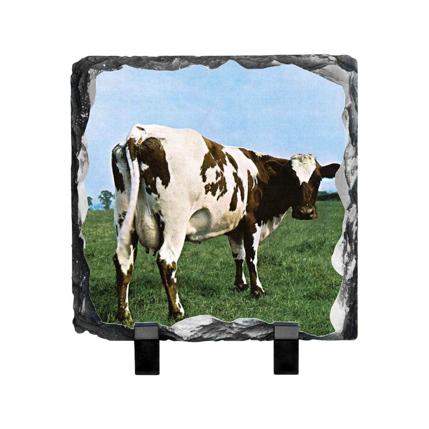 Atom Heart Mother Photo Slate