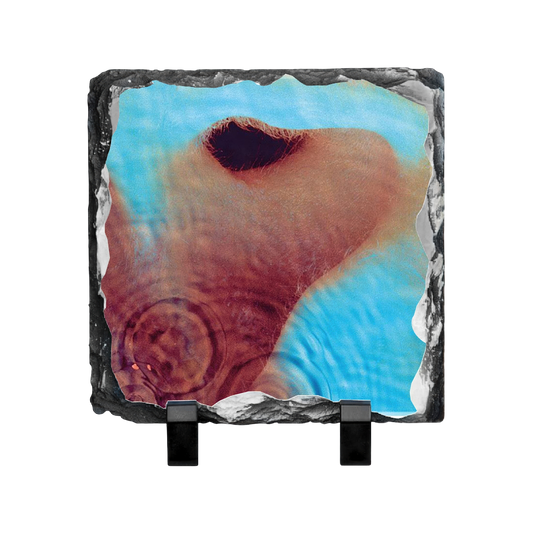 Meddle Photo Slate
