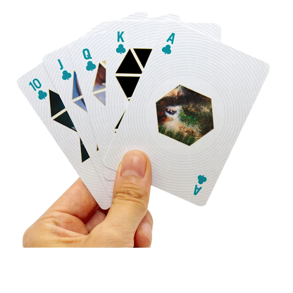 Pink Floyd Playing Cards