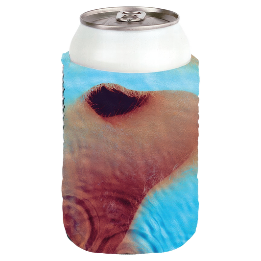 Meddle Coozie