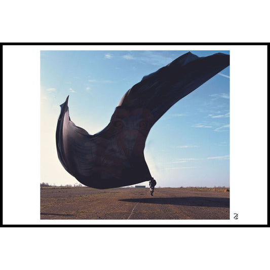On The Wind Fine Art Print