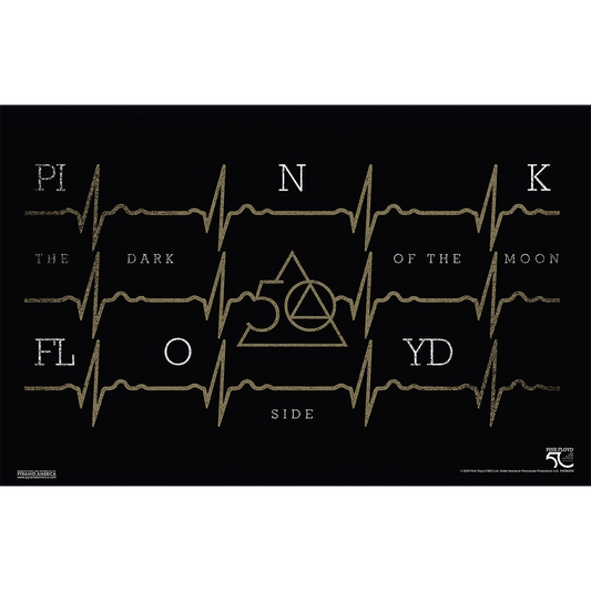 Pink Floyd - DSOTM50-Bronze Heartbeat 11x17 Unframed Print