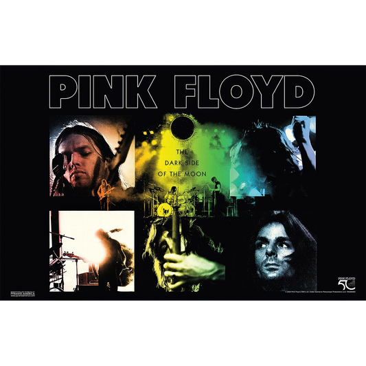 Pink Floyd - DSOTM50-Live Panels 11x17 Unframed Print