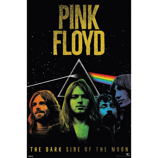 Pink Floyd - DSOTM50-Band 24" x 36" Standard Poster
