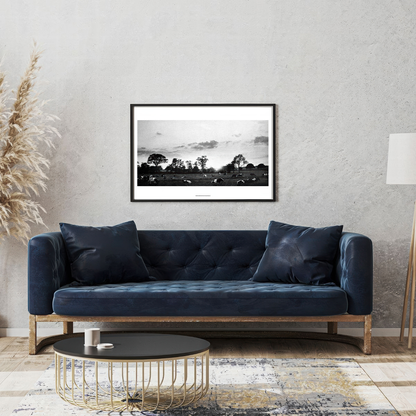 Cow Field  Fine Art Print