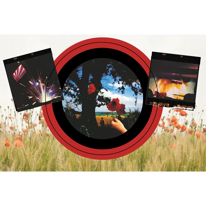 Final Cut Fine Art Print