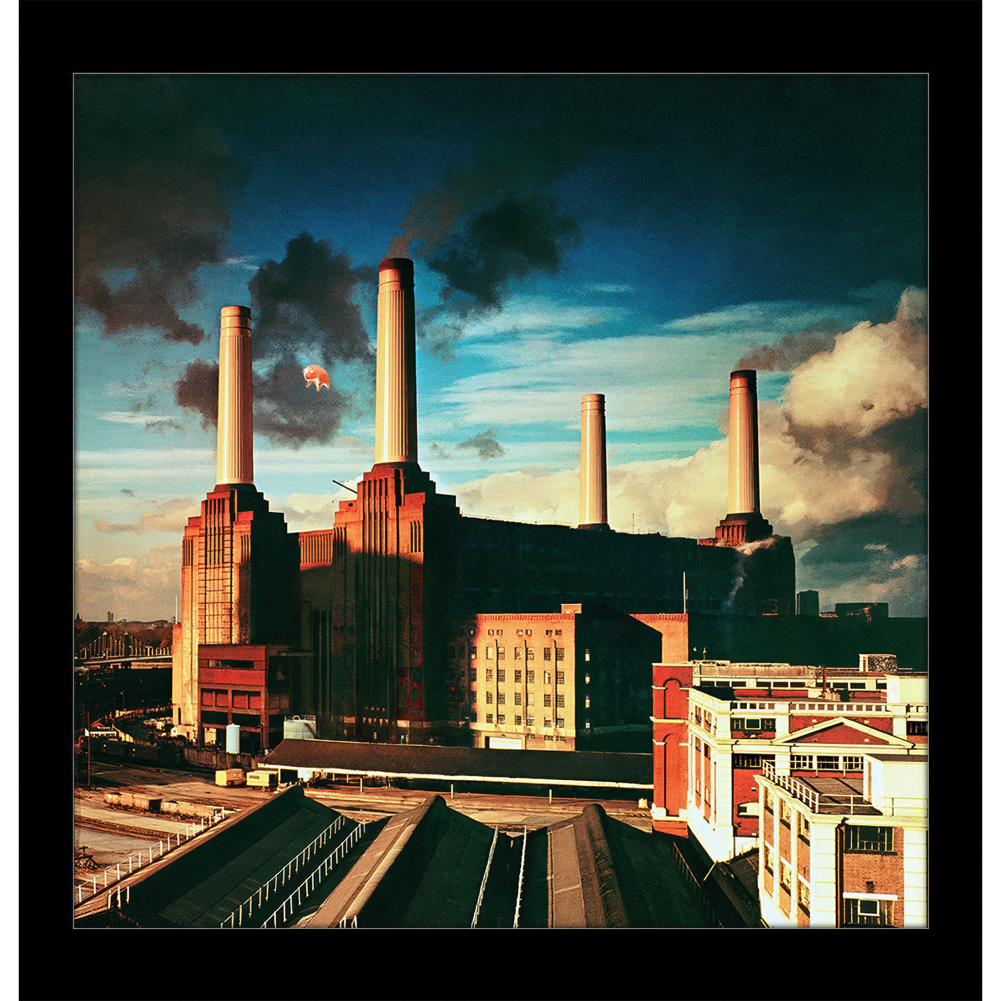Animals 12x12 Framed Print