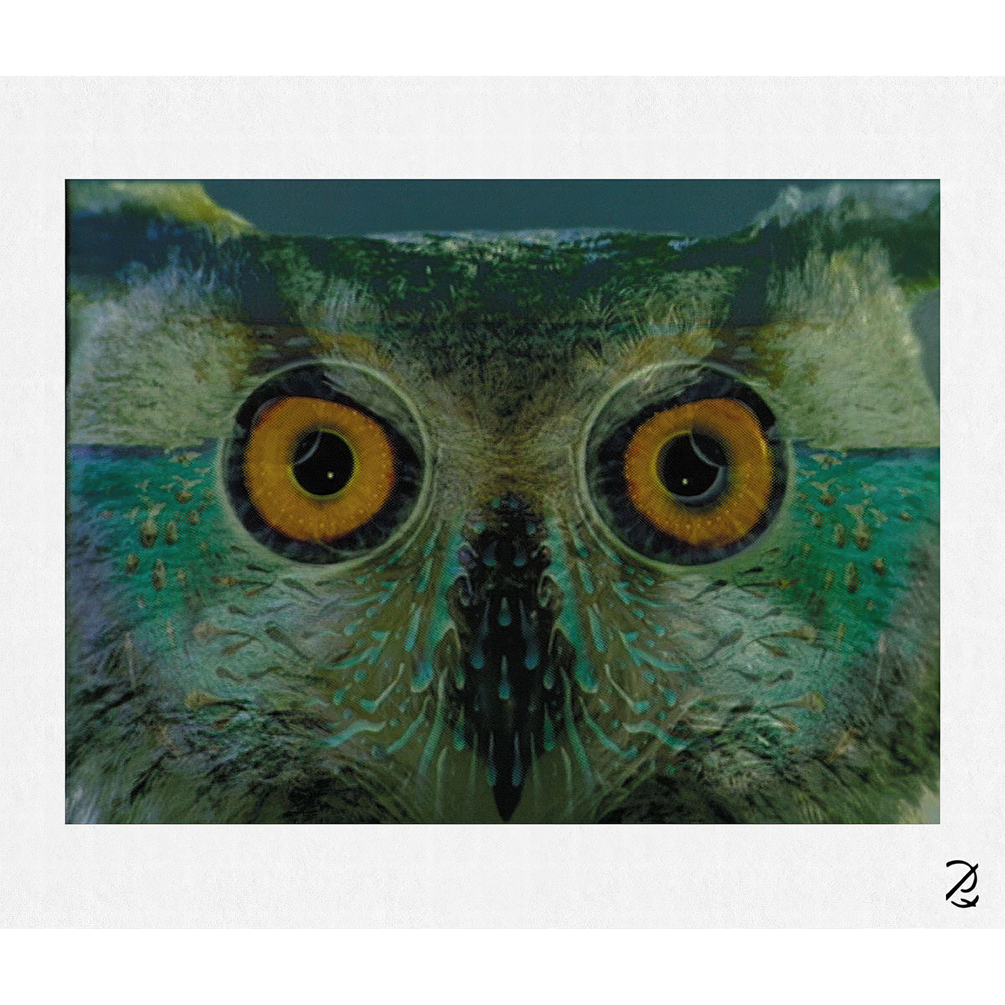 Owl Eyest Fine Art Print