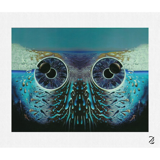 Pulse Owl Eyes Fine Art Print