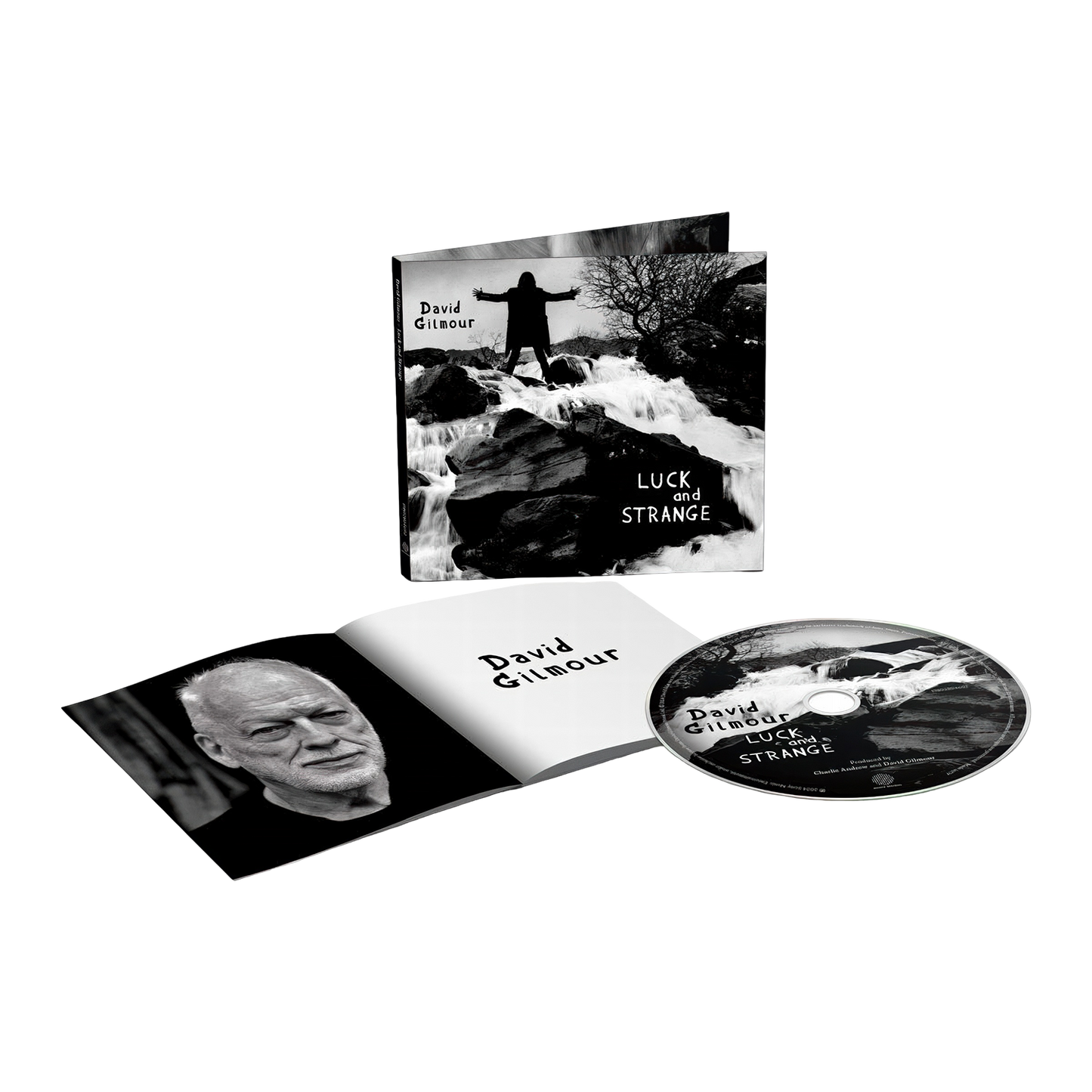 David Gilmour Luck and Strange CD
