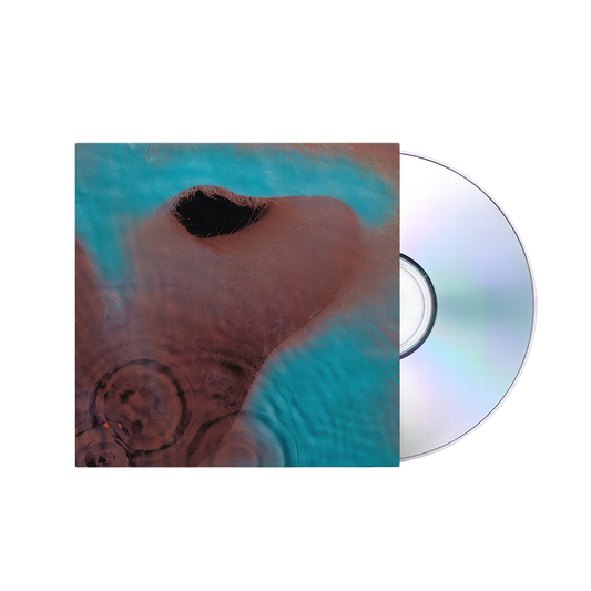 Meddle CD