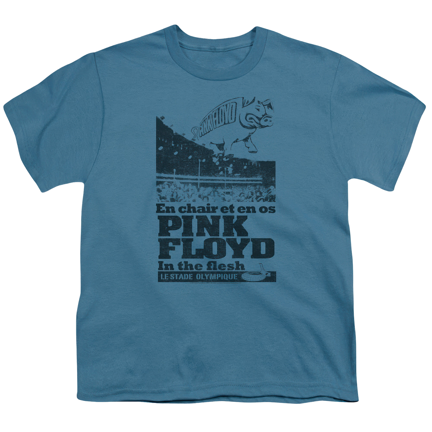 In The Flesh Youth Logo