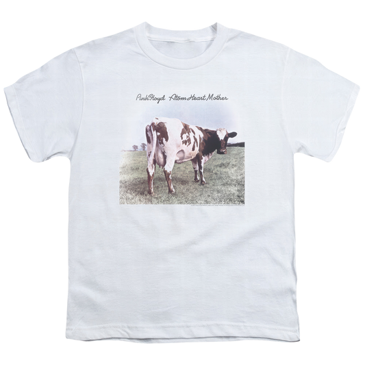 Atom Heart Mother Youth Logo