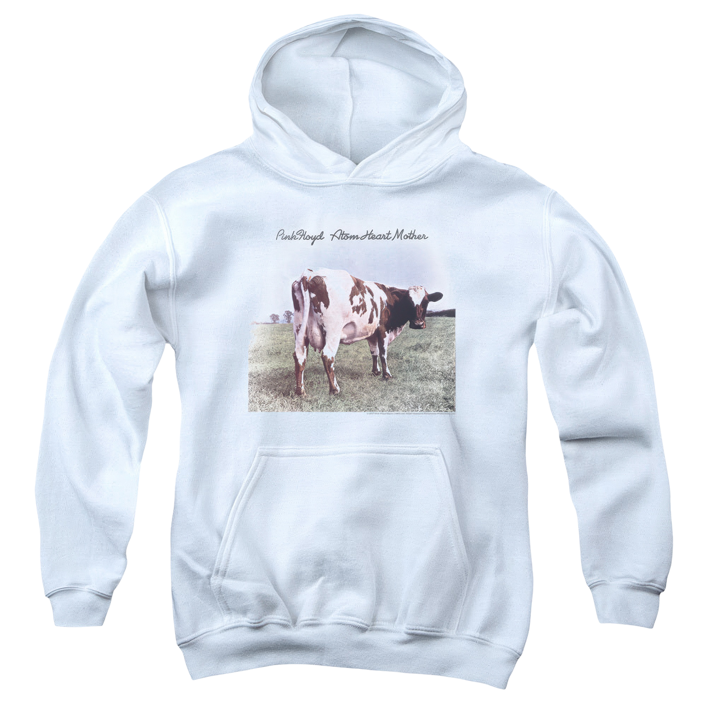 Atom Heart Mother Youth Logo