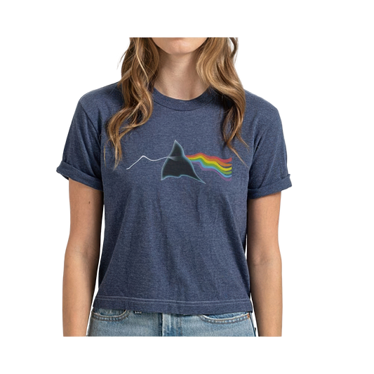 Distortion Retro Crop Top