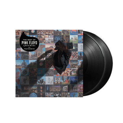 The Best of Pink Floyd: A Foot in the Door 180g Vinyl 2 LP