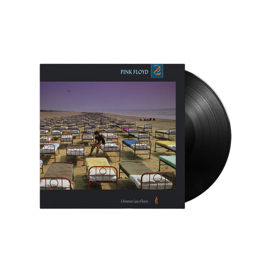 A Momentary Lapse Of Reason LP