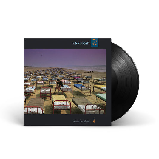 A Momentary Lapse Of Reason LP